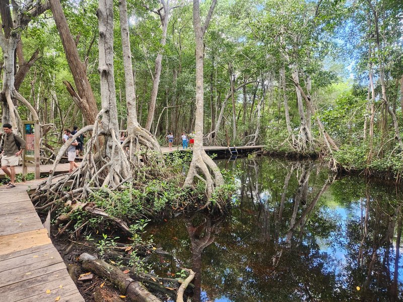Reserva de la Biosfera Ría Celestún, Los Petenes-Ría Celestún