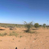 Central Kalahari Game Reserve