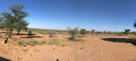 Central Kalahari Game Reserve