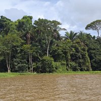 Mouth of Río Chagres, where we ended our hike