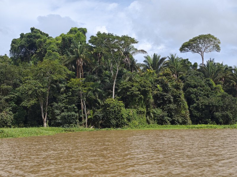 Mouth of Río Chagres near Gamboa, where we ended our hike