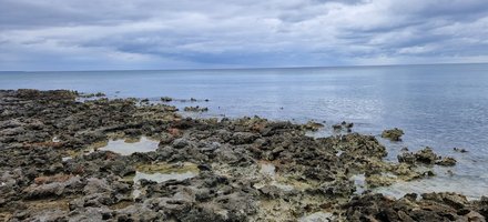 Cuban Caribbean Reef System