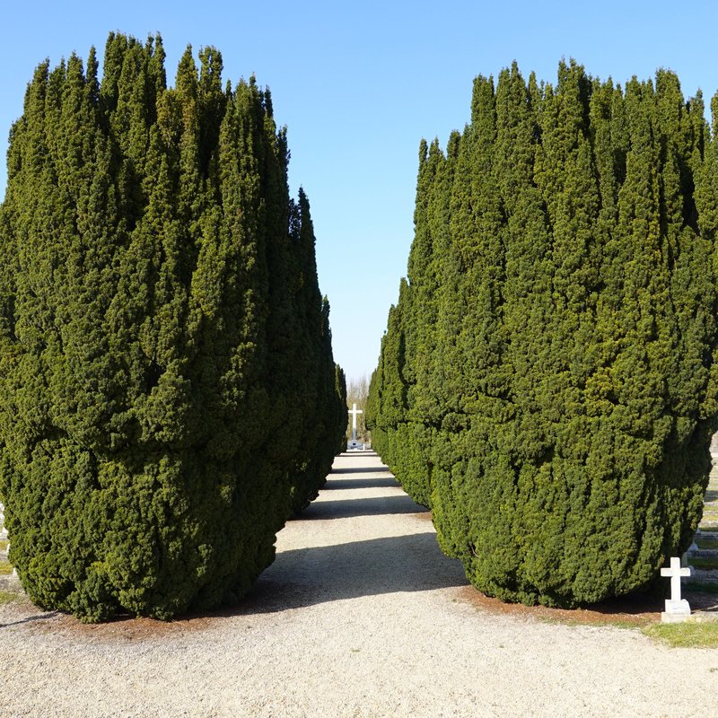 Cimetière militaire italien de Bligny