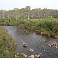 Navarre River, Franklin-Gordon Wild Rivers National Park