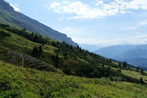 View from Focca