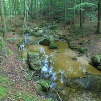 Bílý Štolpich river, Jizerskohorské bučiny reserve