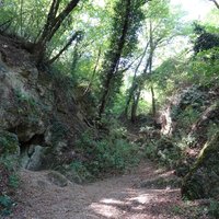 Bassa collina reggiana