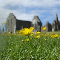 Clonmacnoise 