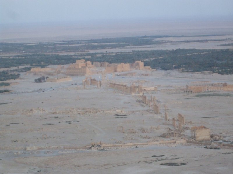 View of Palmyra from the Castle, 2009