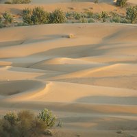 Desert National Park