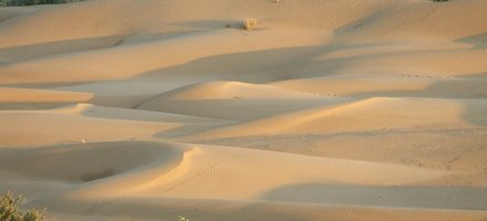 Desert National Park