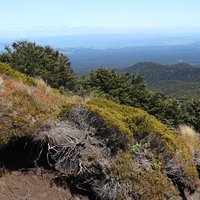 Ohakune Mountain Road, Tongariro