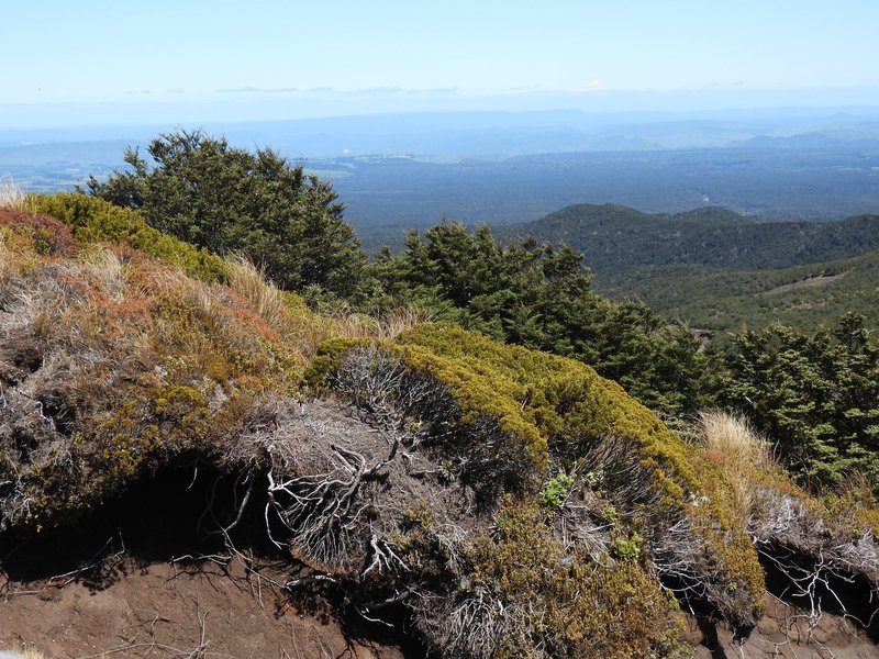 Ohakune Mountain Road, Tongariro