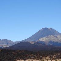 Fire damage at Tongariro (Nov 2025)