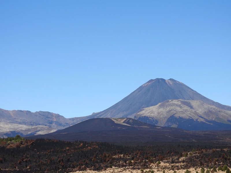 Fire damage at Tongariro (Nov 2025)