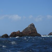 Sea Stacks at The Snares