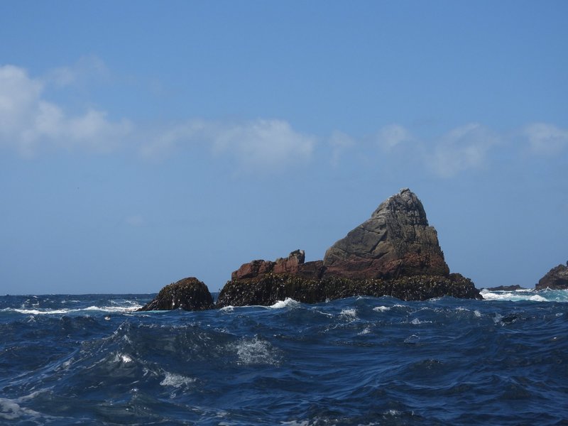 Sea Stacks at The Snares