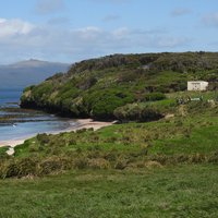 Enderby Island (Auckland Islands)
