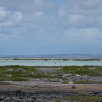 Bonaire Marine Park