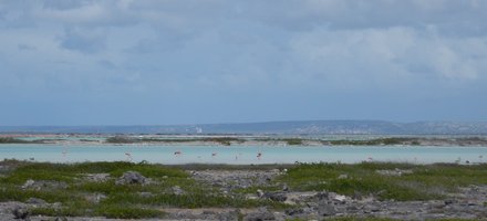 Bonaire Marine Park
