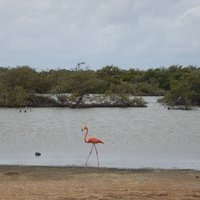 Bonaire Marine Park by Bram de Bruin