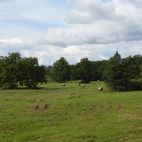 Wooded Meadows Tõramaa