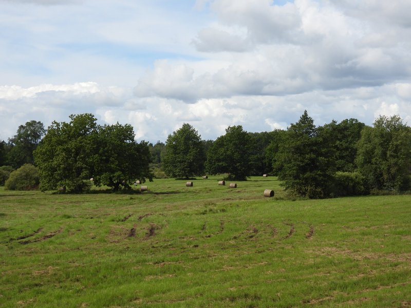 Wooded Meadows Tõramaa