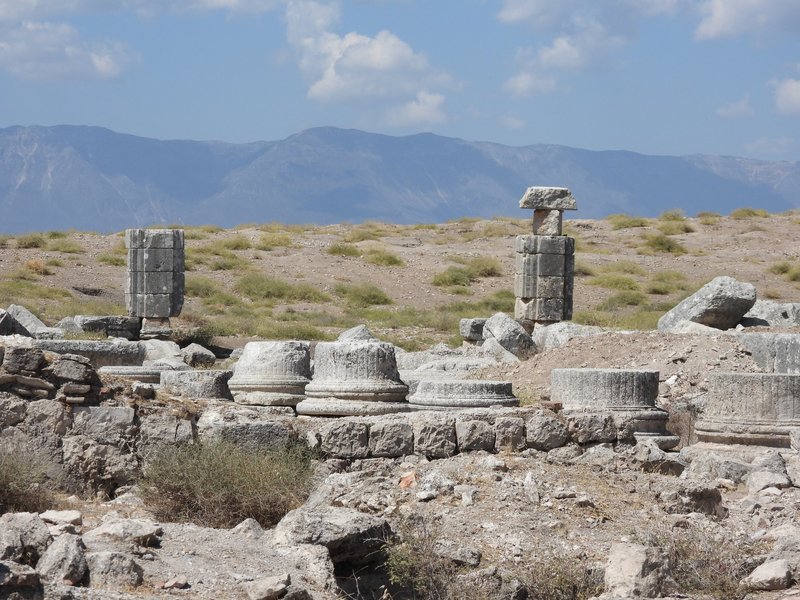 Apamea
