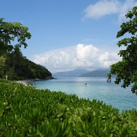 Fitzroy Island (Great Barrier Reef)