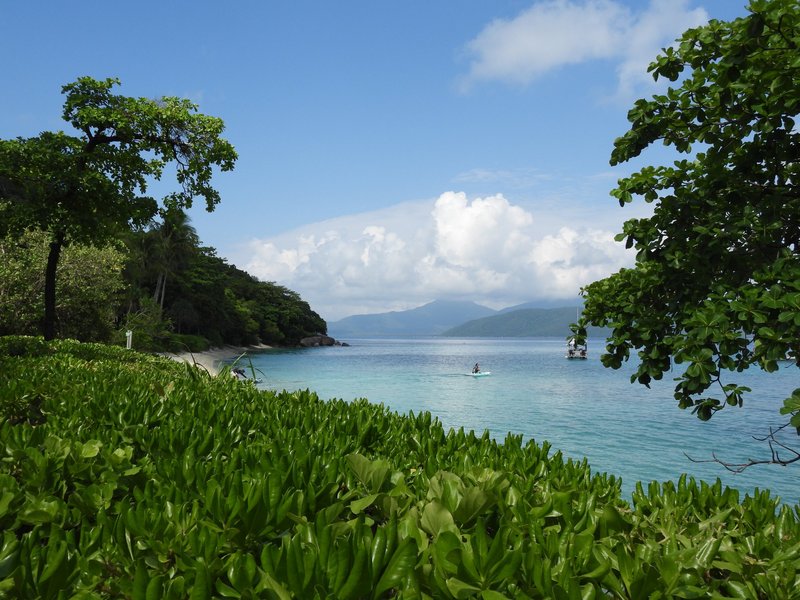 Fitzroy Island (Great Barrier Reef)