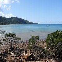 Cape Tribulation, where Reef meets Wet Tropics