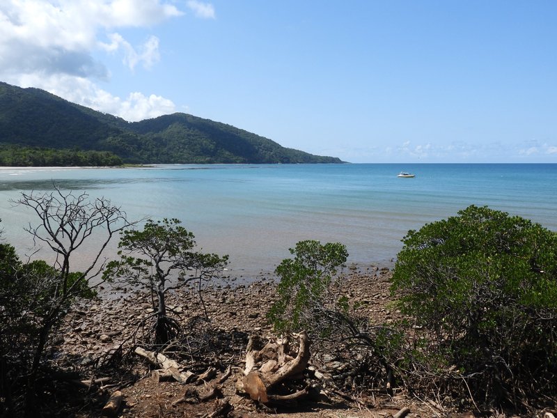 Cape Tribulation