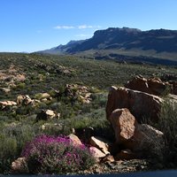 Cape Floral Region: Cederberg Wilderness Area