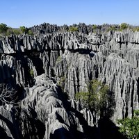 Andrefana Dry Forests: Tsingy de Bemaraha