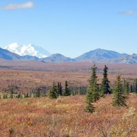 Denali National Park