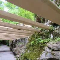 Fallingwater