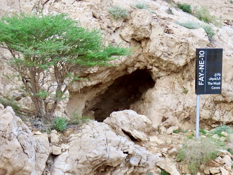 Faya Palaeolandscape