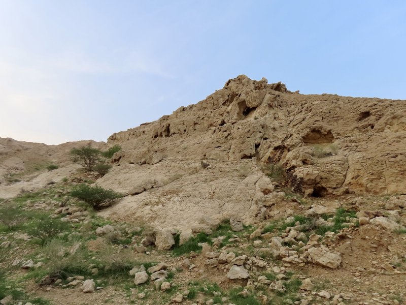 Faya Palaeolandscape (KJM)