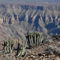 Fishriver Canyon with cactus