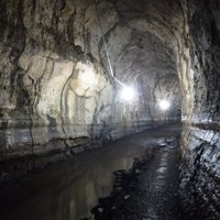 Laval tunnel, El Chato, Santa Cruz, Galapagos Islands