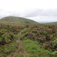 Media Luna, Santa Cruz, Galapagos Islands