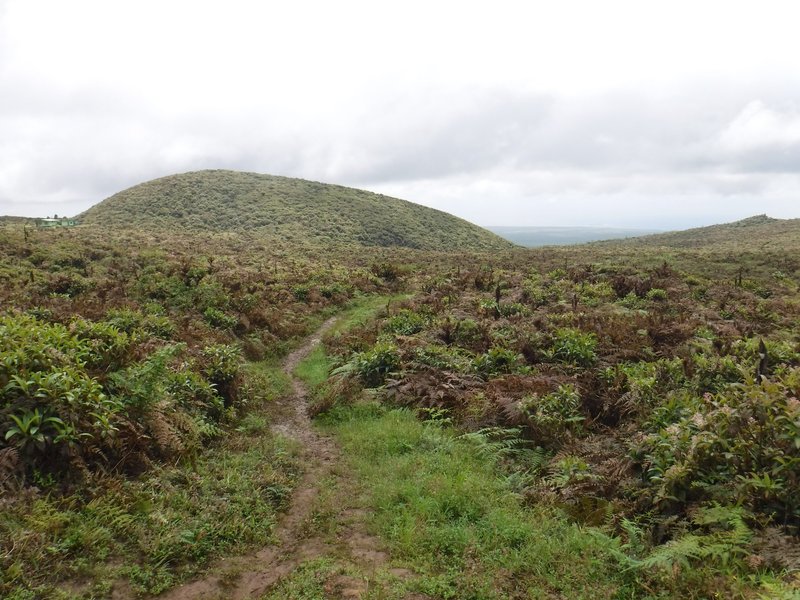Media Luna, Santa Cruz, Galapagos Islands