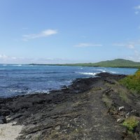 Isabella, Galapagos Islands