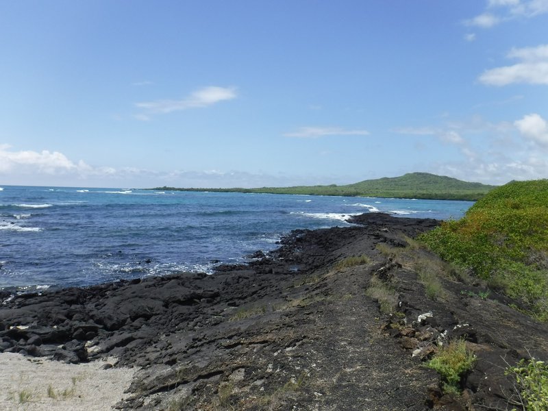 Isabella, Galapagos Islands