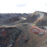 Volcán Sierra Negra, Isabella, Galapagos Islands