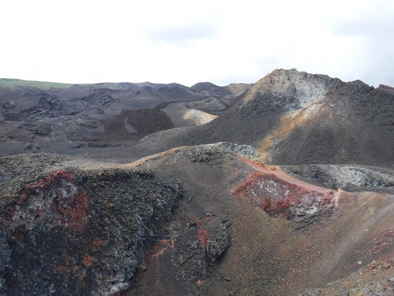 Volcán Sierra Negra, Isabella, Galapagos Islands