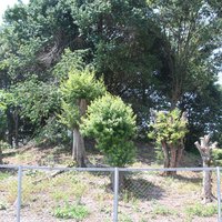 Mozu-Furuichi Kofun: Genemonyama Kofun