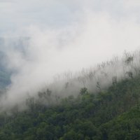 Great Smoky Mountains National Park (KJM)