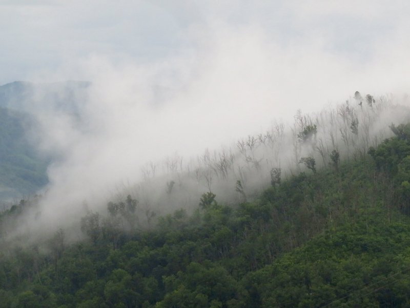 Great Smoky Mountains National Park (KJM)