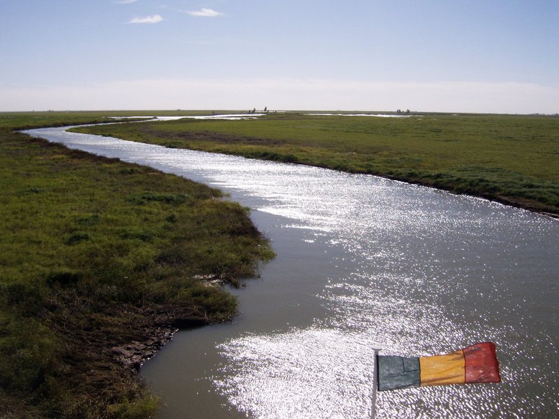 The Niger River Basin